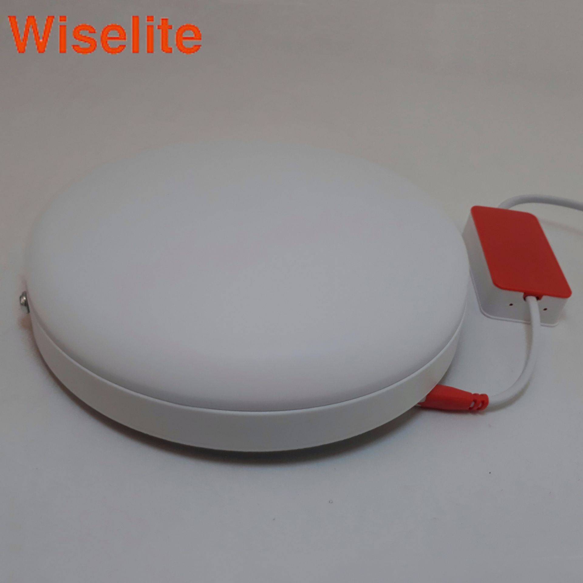WISELITE 24W SURFACE DOWNLIGHT MOUNTED PANEL LED LIGHT